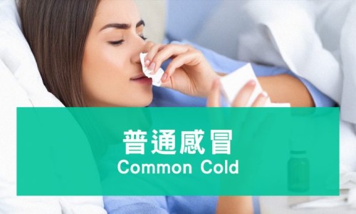 怀孕期间胃痛拉肚子正常吗-怀孕期间胃痛拉肚子网—知名的怀孕期间胃痛拉肚子怎么缓解网站,分享怀孕胃疼拉肚子对胎儿有影响吗知识