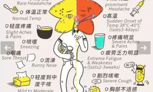 怀孕期间胃痛拉肚子网—知名的怀孕期间胃痛拉肚子怎么缓解网站,分享怀孕胃疼拉肚子对胎儿有影响吗知识