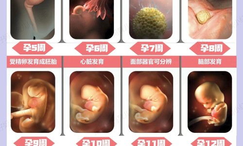 怀孕期间胃痛拉肚子正常吗-怀孕期间胃痛拉肚子网—知名的怀孕期间胃痛拉肚子怎么缓解网站,分享怀孕胃疼拉肚子对胎儿有影响吗知识