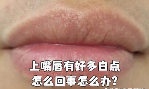 怀孕期间胃痛拉肚子网—知名的怀孕期间胃痛拉肚子怎么缓解网站,分享怀孕胃疼拉肚子对胎儿有影响吗知识
